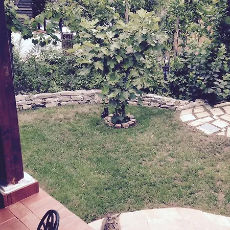 Oda ve Kahvaltı Residenza Luna *